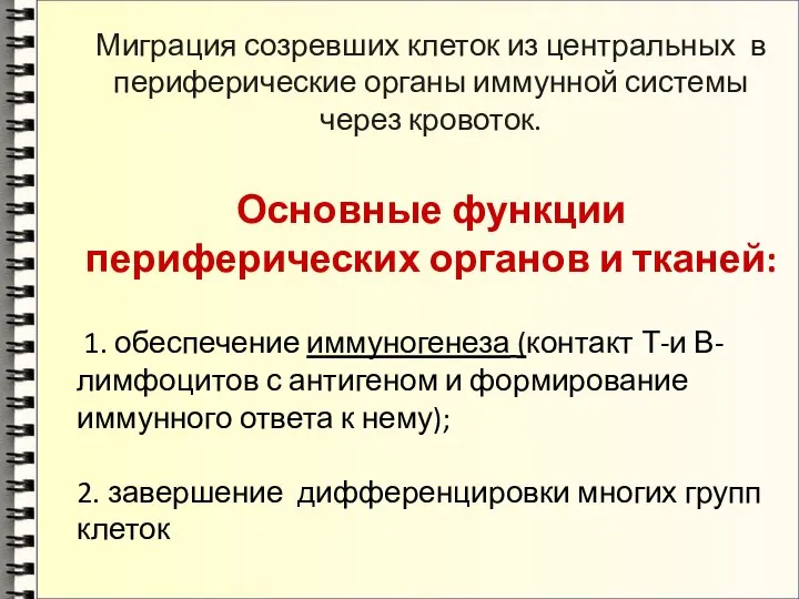 Миграция созревших клеток из центральных в периферические органы иммунной системы через