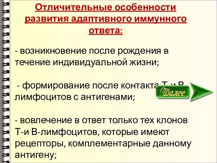 Отличительные особенности развития адаптивного иммунного ответа: - возникновение после рождения в