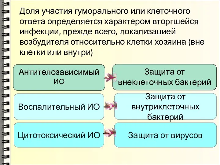 Доля участия гуморального или клеточного ответа определяется характером вторгшейся инфекции, прежде