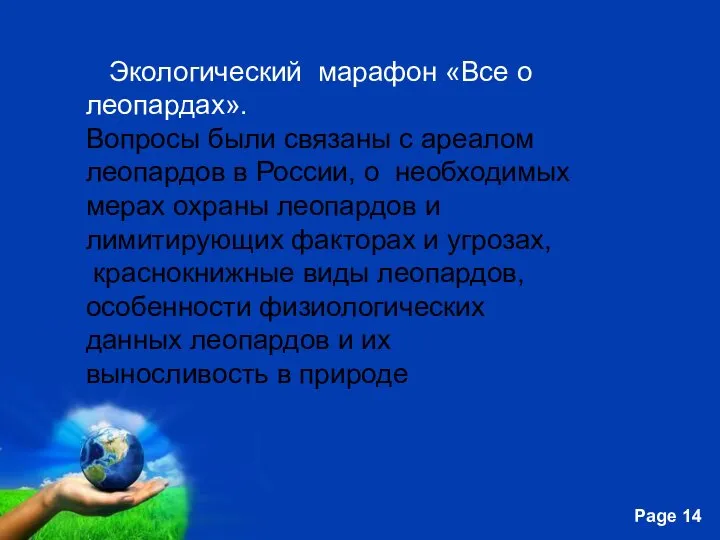 Экологический марафон «Все о леопардах». Вопросы были связаны с ареалом леопардов