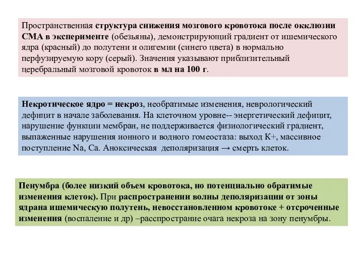 Некротическое ядро = некроз, необратимые изменения, неврологический дефицит в начале заболевания.