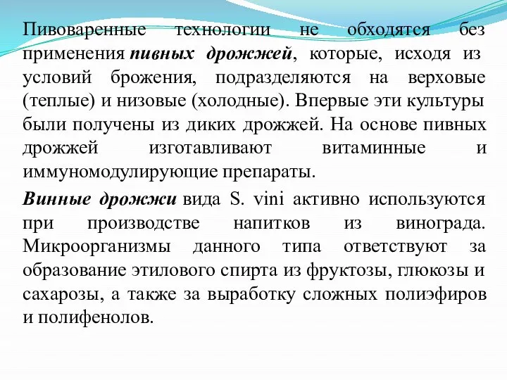 Пивоваренные технологии не обходятся без применения пивных дрожжей, которые, исходя из