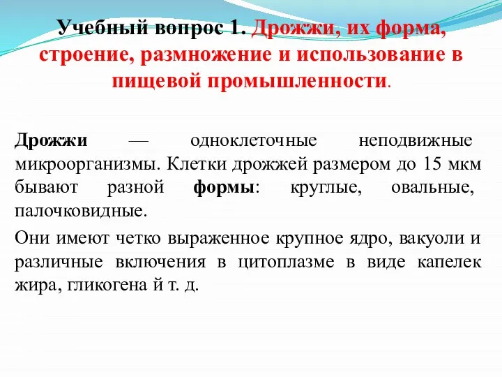 Дрожжи — одноклеточные неподвижные микроорганизмы. Клетки дрожжей размером до 15 мкм