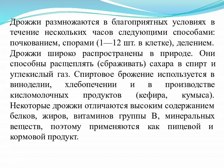 Дрожжи размножаются в благоприятных условиях в течение нескольких часов следующими способами: