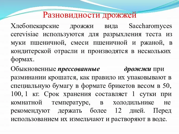 Разновидности дрожжей Хлебопекарские дрожжи вида Saccharomyces cerevisiae используются для разрыхления теста