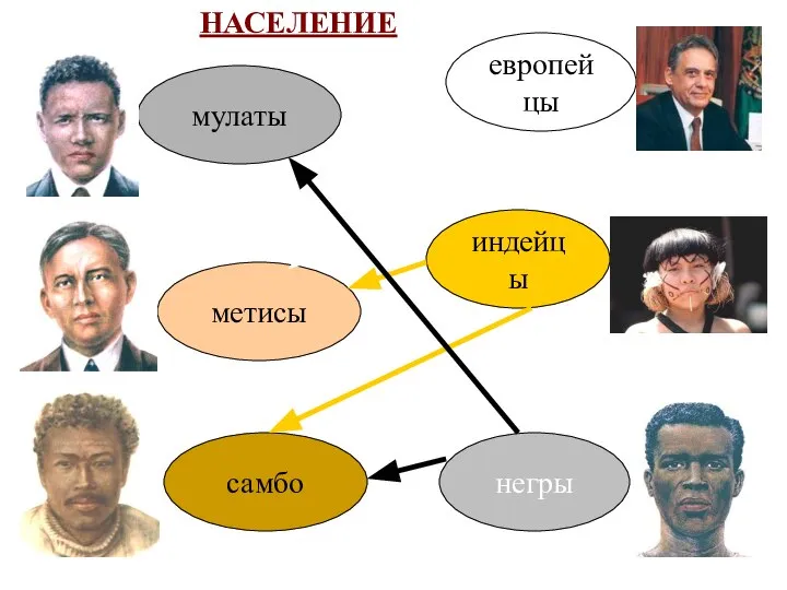 НАСЕЛЕНИЕ европейцы негры индейцы метисы мулаты самбо