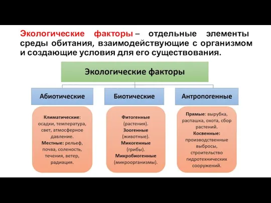 Экологические факторы – отдельные элементы среды обитания, взаимодействующие с организмом и создающие условия для его существования.