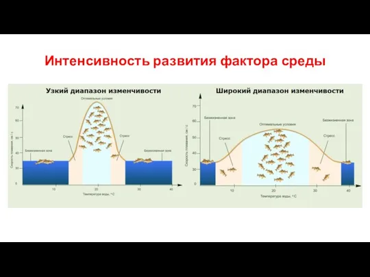 Интенсивность развития фактора среды