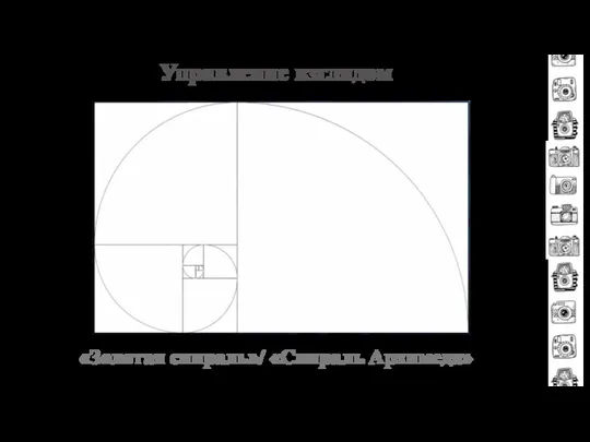 Управление взглядом «Золотая спираль»/ «Спираль Архимеда»