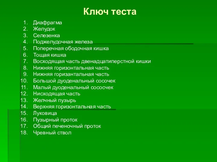 Ключ теста Диафрагма Желудок Селезенка Поджелудочная железа Поперечная ободочная кишка Тощая