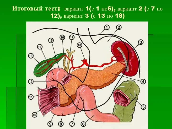 Итоговый тест: вариант 1(с 1 по6), вариант 2 (с 7 по