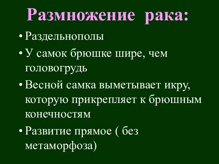 Размножение рака: Раздельнополы У самок брюшке шире, чем головогрудь Весной самка