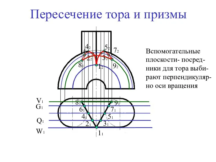 Пересечение тора и призмы Вспомогательные плоскости- посред-ники для тора выби-рают перпендикуляр-но оси вращения