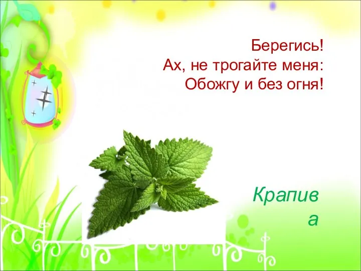 Берегись! Ах, не трогайте меня: Обожгу и без огня! Крапива