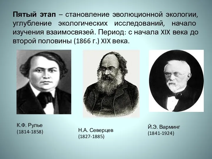 Пятый этап – становление эволюционной экологии, углубление экологических исследований, начало изучения