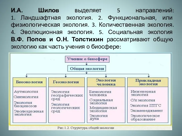 И.А. Шилов выделяет 5 направлений: 1. Ландшафтная экология. 2. Функциональная, или