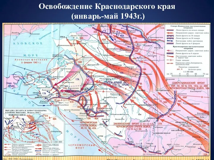 Освобождение Краснодарского края (январь-май 1943г.)