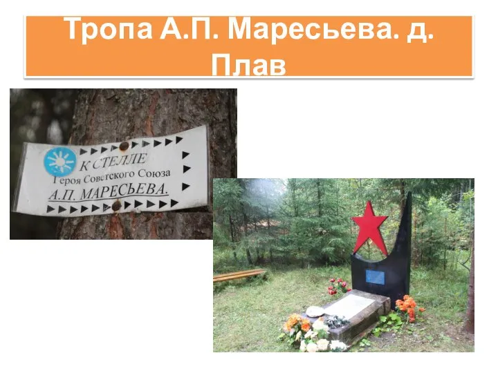 Тропа А.П. Маресьева. д. Плав