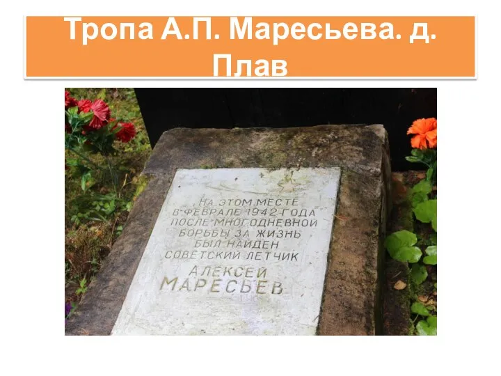 Тропа А.П. Маресьева. д. Плав