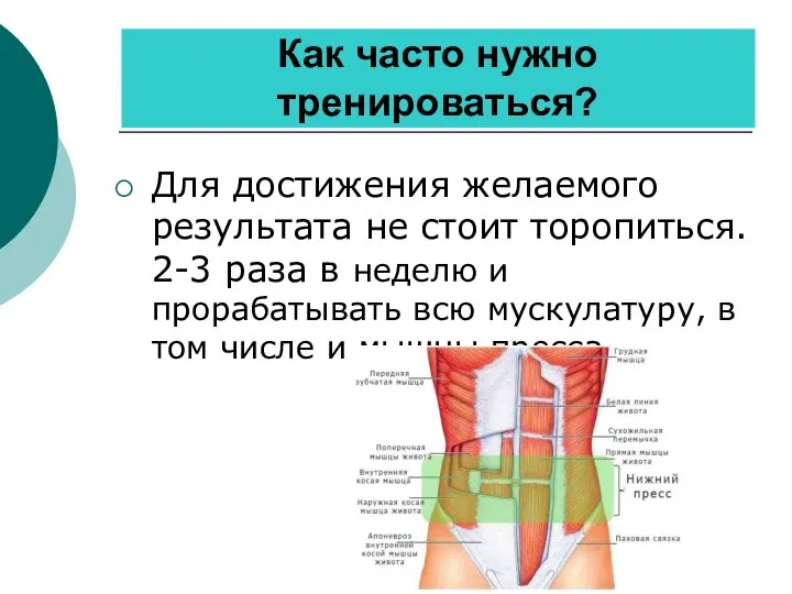 Как часто нужно тренироваться? Для достижения желаемого результата не стоит торопиться.