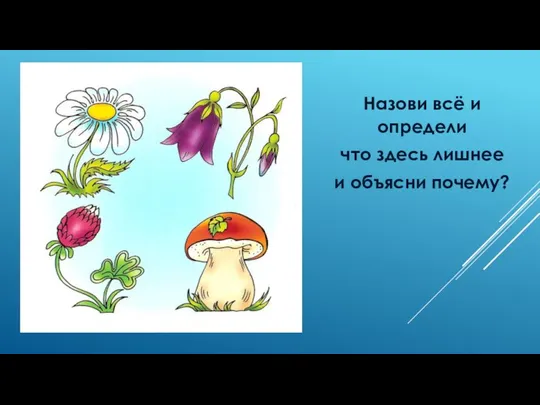 Назови всё и определи что здесь лишнее и объясни почему?