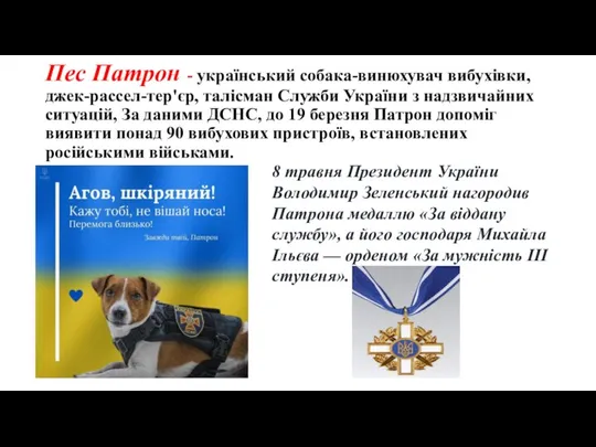 Пес Патрон - український собака-винюхувач вибухівки, джек-рассел-тер'єр, талісман Служби України з