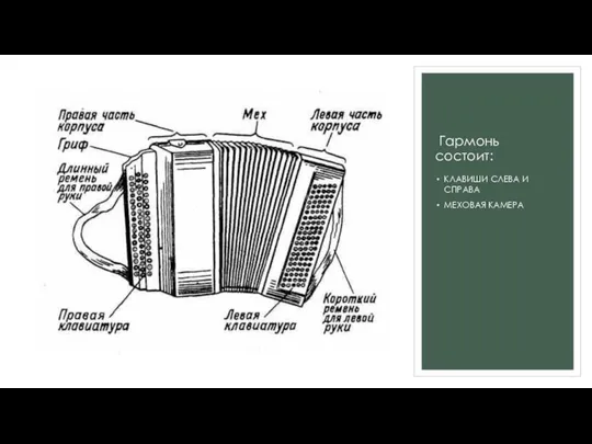 Гармонь состоит: КЛАВИШИ СЛЕВА И СПРАВА МЕХОВАЯ КАМЕРА
