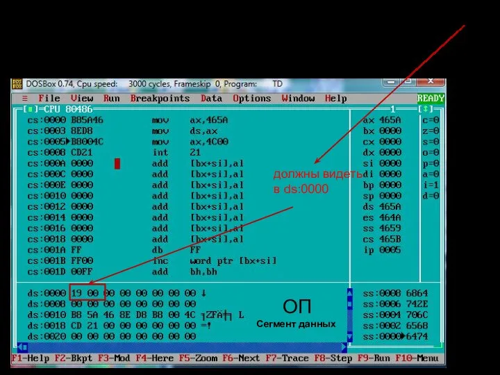 Должно быть в 16-разрядном процессоре по адресу ds:0000 целое число =0019(16)
