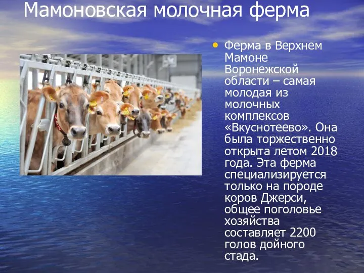 Мамоновская молочная ферма Ферма в Верхнем Мамоне Воронежской области – самая