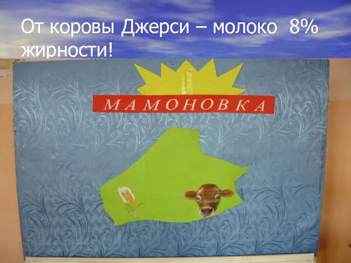 От коровы Джерси – молоко 8% жирности!