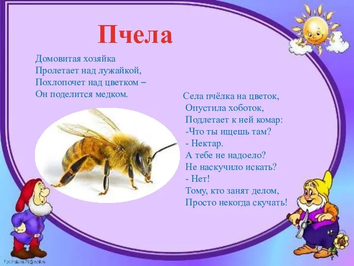 Домовитая хозяйка Пролетает над лужайкой, Похлопочет над цветком – Он поделится