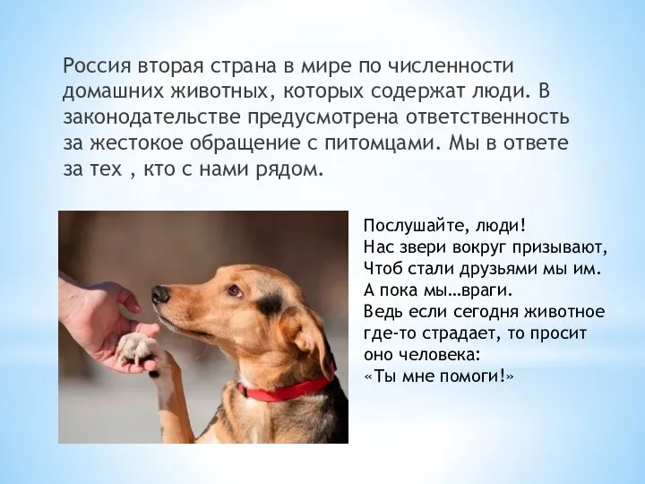 Россия вторая страна в мире по численности домашних животных, которых содержат