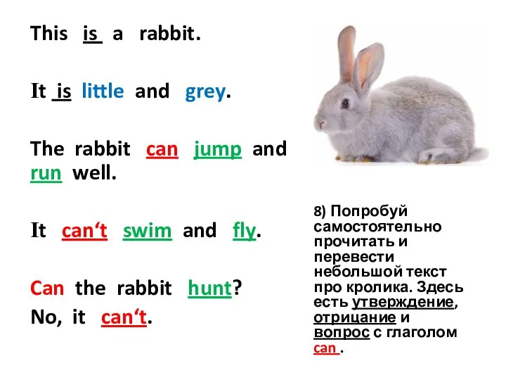 This is a rabbit. It is little and grey. The rabbit