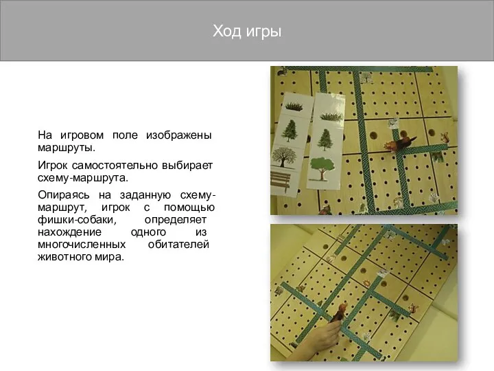 На игровом поле изображены маршруты. Игрок самостоятельно выбирает схему-маршрута. Опираясь на