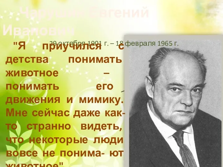 Чарушин Евгений Иванович 29 октября 1901 г. – 18 февраля 1965