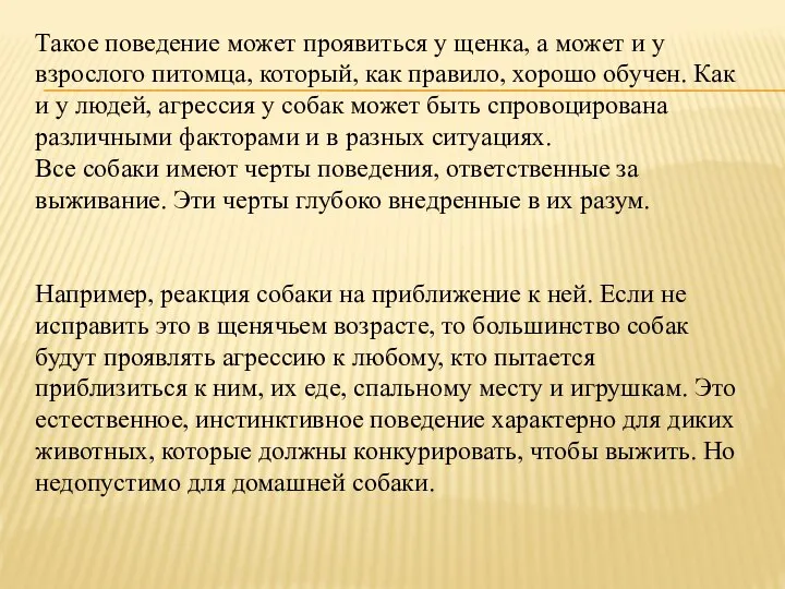 Такое поведение может проявиться у щенка, а может и у взрослого