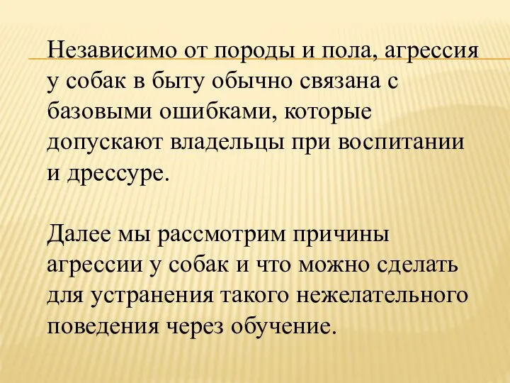 Независимо от породы и пола, агрессия у собак в быту обычно