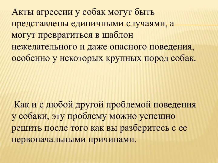 Акты агрессии у собак могут быть представлены единичными случаями, а могут