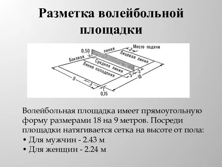 Разметка волейбольной площадки Волейбольная площадка имеет прямоугольную форму размерами 18 на