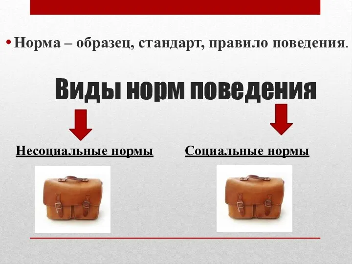 Виды норм поведения Норма – образец, стандарт, правило поведения. Несоциальные нормы Социальные нормы