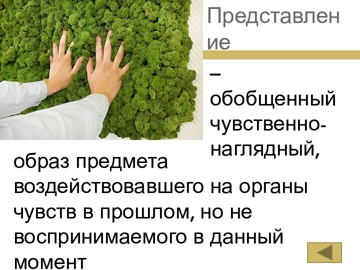 Представление – обобщенный чувственно-наглядный, образ предмета воздействовавшего на органы чувств в