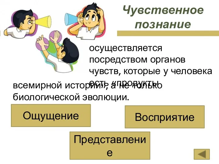 Чувственное познание осуществляется посредством органов чувств, которые у человека есть «продукты