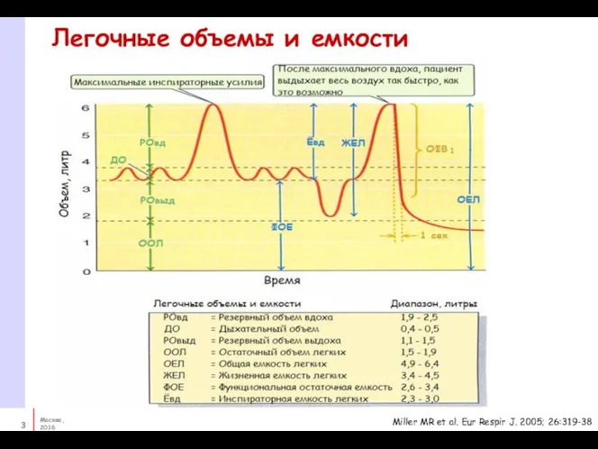 Легочные объемы и емкости Miller MR et al. Eur Respir J. 2005; 26:319-38