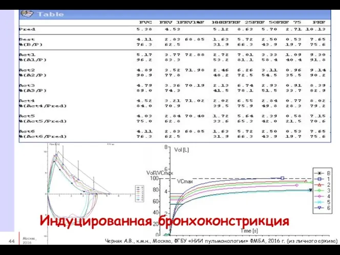 Индуцированная бронхоконстрикция Черняк А.В., к.м.н., Москва, ФГБУ «НИИ пульмонологии» ФМБА, 2016 г. (из личного архива)