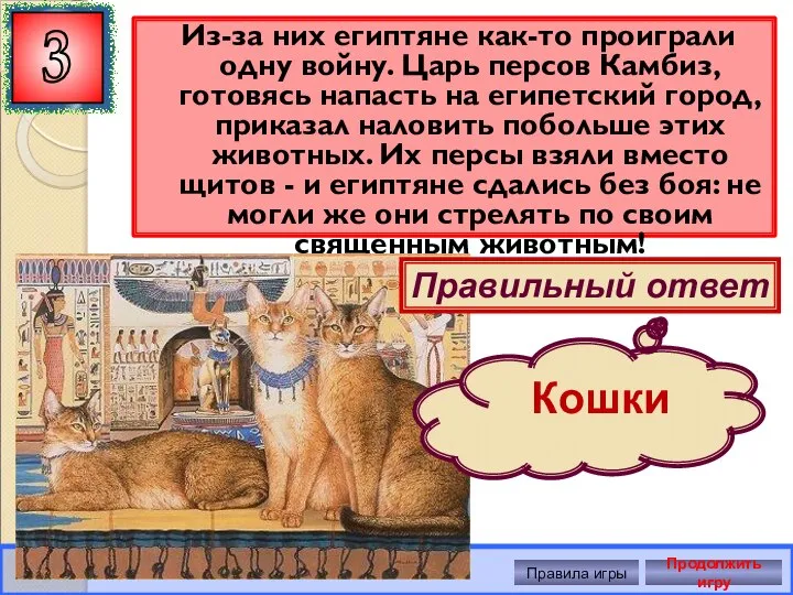 Из-за них египтяне как-то проиграли одну войну. Царь персов Камбиз, готовясь