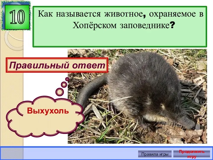 Как называется животное, охраняемое в Хопёрском заповеднике? 10 Правильный ответ Выхухоль Правила игры Продолжить игру