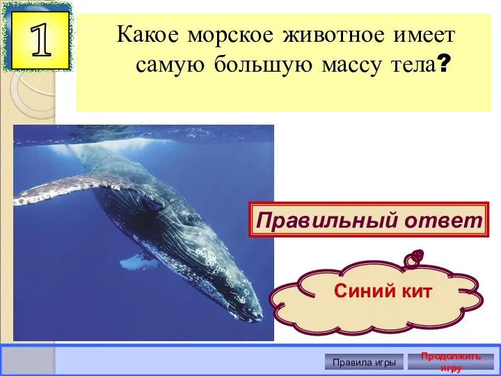 Какое морское животное имеет самую большую массу тела? 1 Правильный ответ