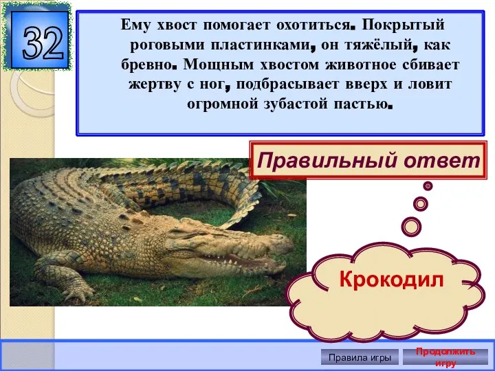 Ему хвост помогает охотиться. Покрытый роговыми пластинками, он тяжёлый, как бревно.