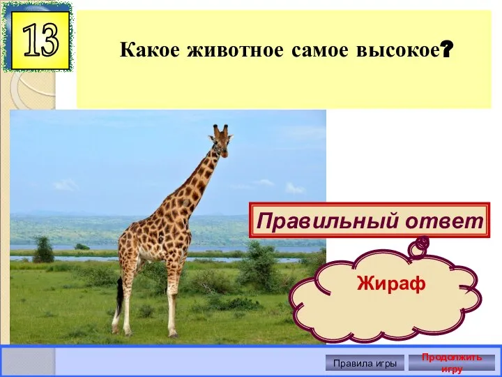 Какое животное самое высокое? 13 Правильный ответ Жираф Правила игры Продолжить игру