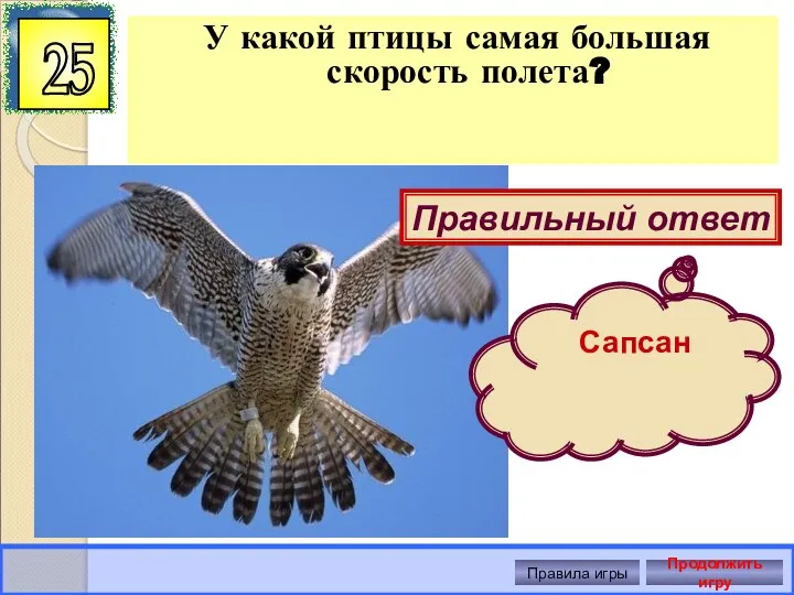 У какой птицы самая большая скорость полета? 25 Правильный ответ Правила игры Продолжить игру Сапсан